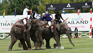 FTGBlog-ElephantPolo-Mercedes-vs-Bangkok-Bank-CreditAnantara Elephant Polo