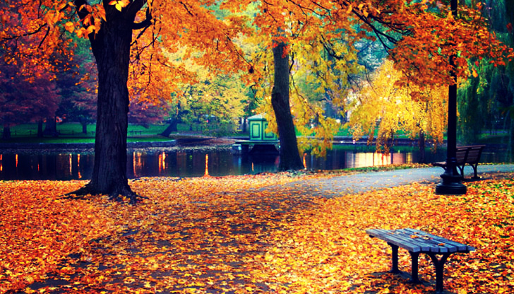 Autumn in Boston Public Garden