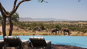 FTGBlog-Four Seasons Safari Lodge Serengeti-4-Four Seasons Hotels  Limited