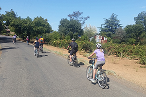 FTGBlog-BikeTastThroughSonoma-SonomaAdventuresBikesCountryRoad-HuntBailie