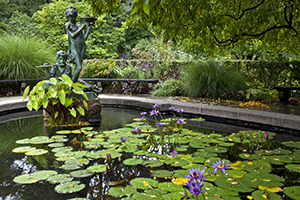 Central Park, New York City Burnett Memorian fountain in summer with water lily