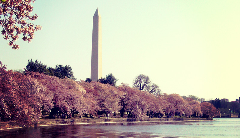 FTGBlog-WhereToTravelInMarch-WashingtonMemorial&CherryBlossoms-SimonWilliams